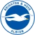 brighton-hove-albion